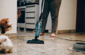 Evaluating Bagged vs. Bagless Fashions for – Vacuum Warehouse