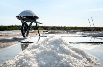 How you can Clear Winter Salt and Grit With out Ruining Your Flooring (Carpet, – Vacuum Warehouse