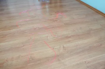 Finest Cordless Vacuums for Pet Hair (Examined & Ranked for 2026)