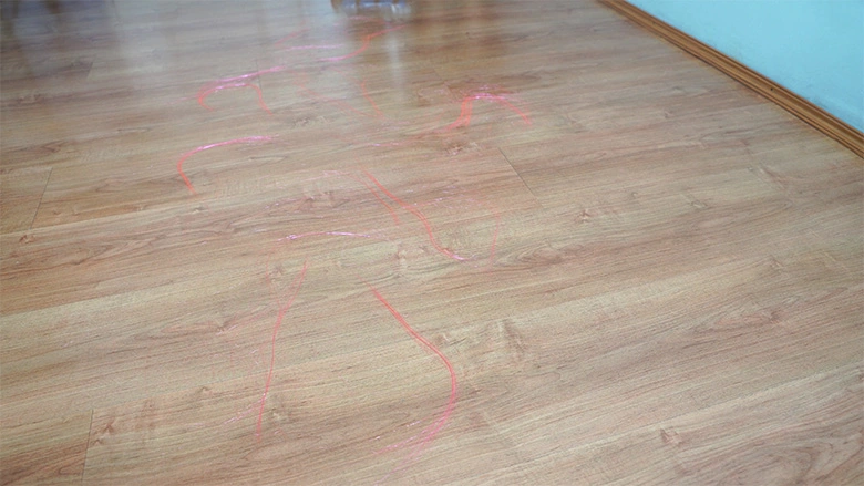 Finest Cordless Vacuums for Pet Hair (Examined & Ranked for 2026)