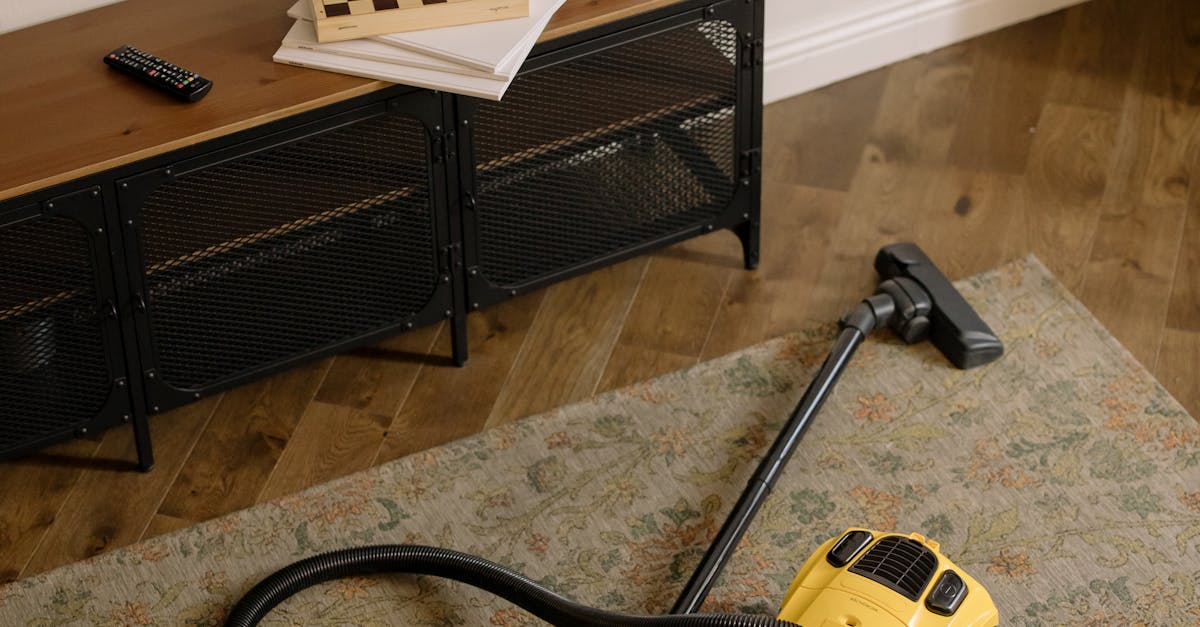 Which Vacuum Makes Extra Sense for Your Flo – Vacuum Warehouse