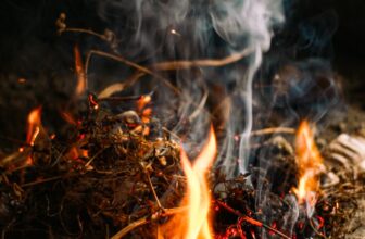 Can You Vacuum Hearth Ash? What to Use and What to Keep away from – Vacuum Warehouse