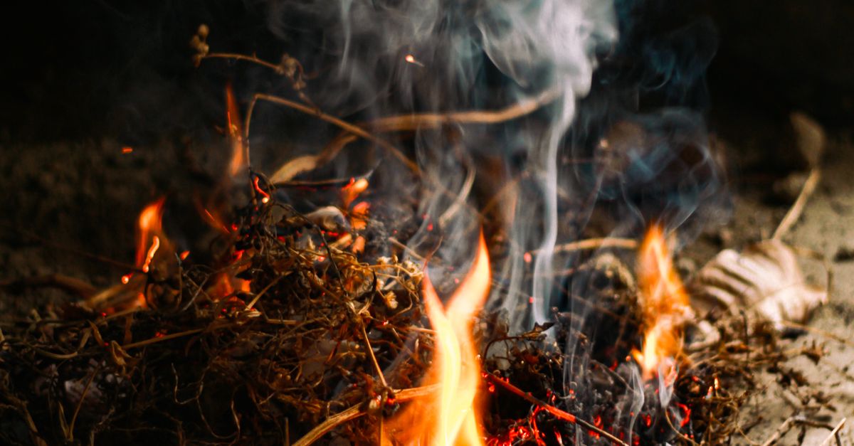Can You Vacuum Hearth Ash? What to Use and What to Keep away from – Vacuum Warehouse Can You Vacuum Hearth Ash? What to Use and What to Keep away from – Vacuum Warehouse