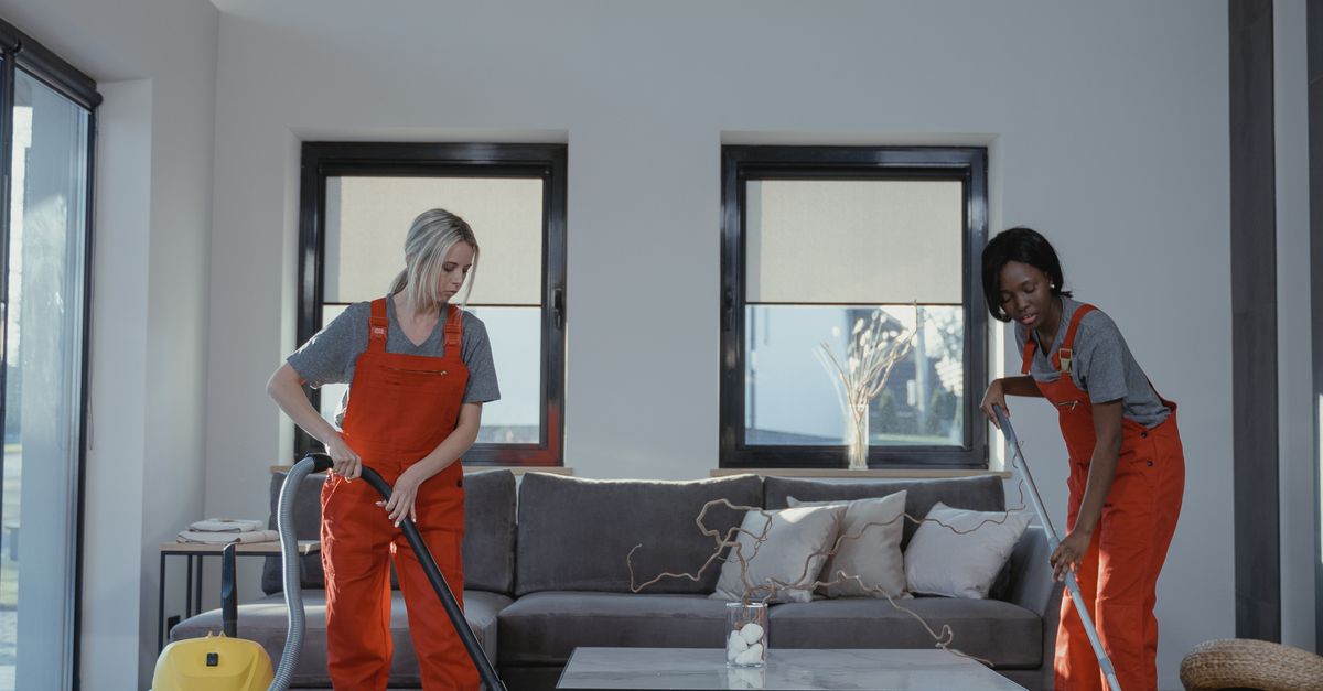 Which Mannequin Matches Your Dwelling? – Vacuum Warehouse Which Mannequin Matches Your Dwelling? – Vacuum Warehouse