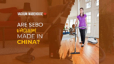 Are SEBO vacuums made in China? – Vacuum Warehouse