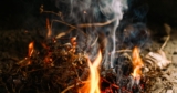 Can You Vacuum Hearth Ash? What to Use and What to Keep away from – Vacuum Warehouse