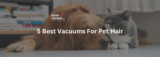 The 5 Greatest Vacuums For Pet Hair – Vacuum Warehouse